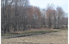 Property photo 95 - REAL ESTATE & PERSONAL PROPERTY AUCTION, 140 Acres offered in 8 Tracts or Combinations in Steuben County